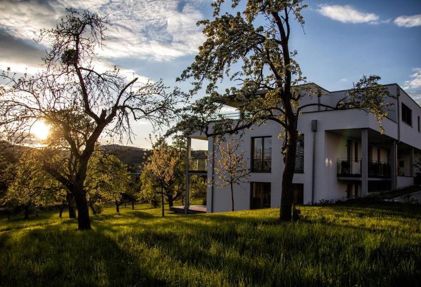 فندق Hewen Apartments