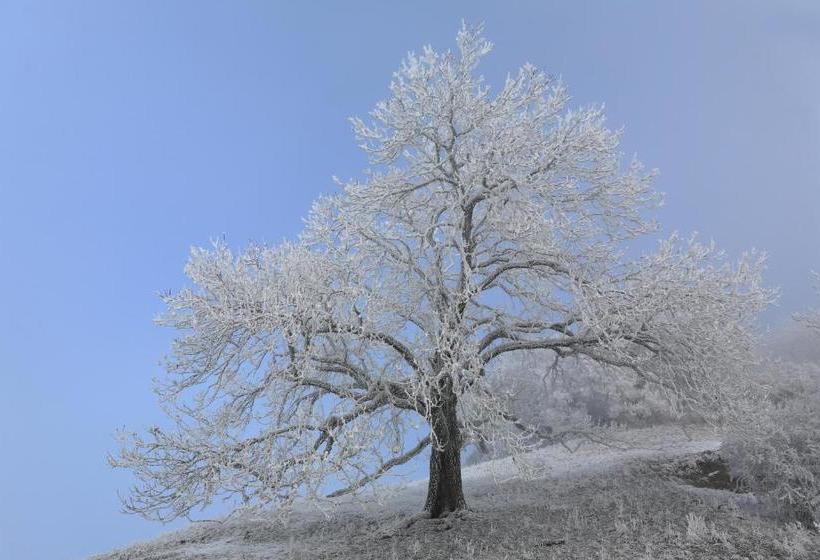 فندق Hewen Apartments