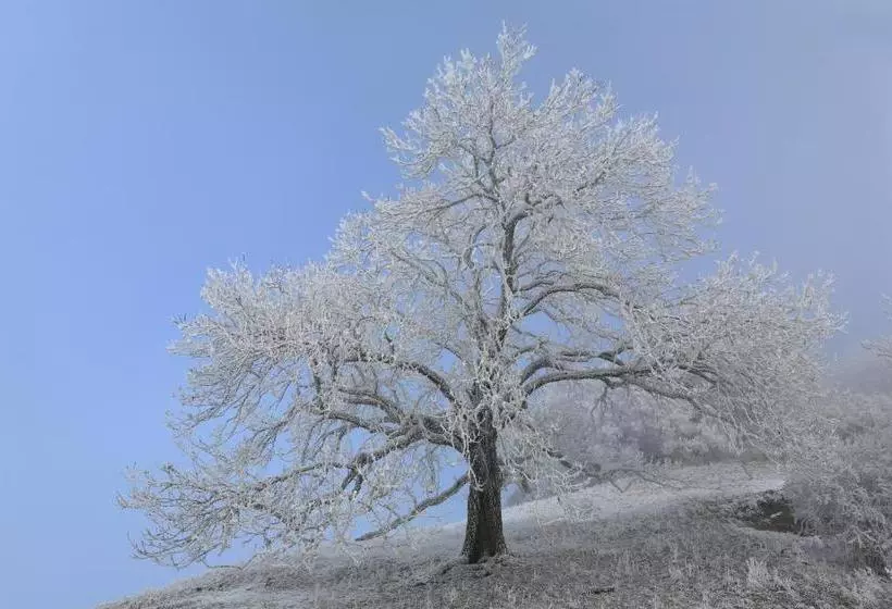 Hotelli Hewen Apartments