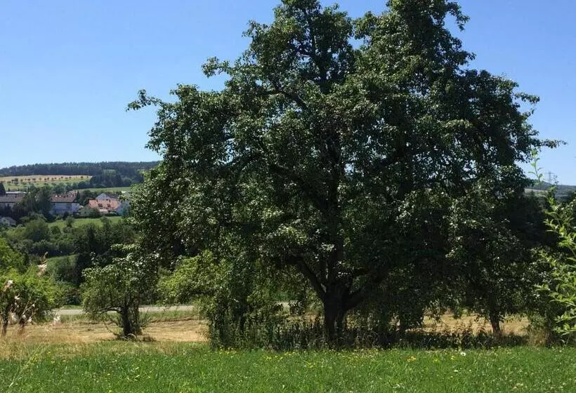 Hotelli Hewen Apartments