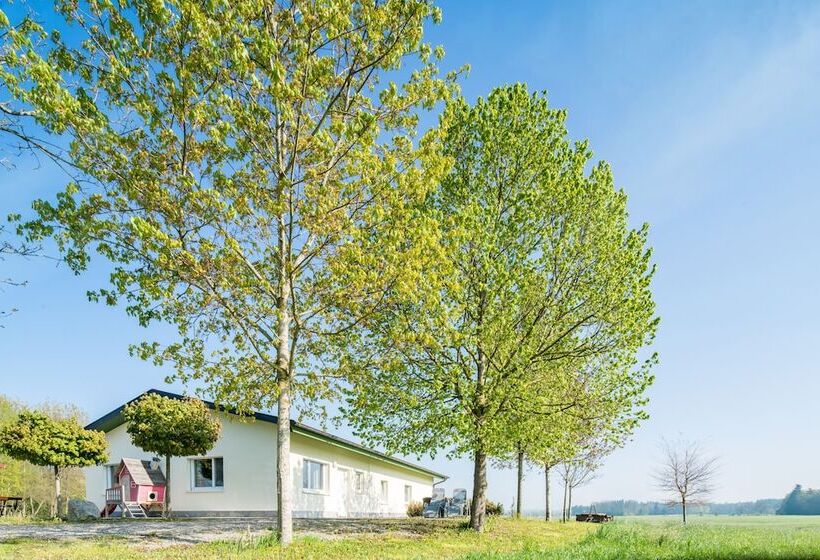 Отель Hofgut Tiergarten