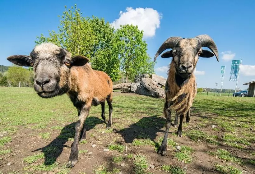 Hotelli Hofgut Tiergarten