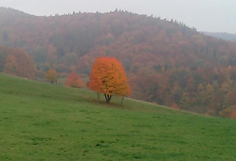 בית מלון כפרי Pension Zur Schönen Aussicht