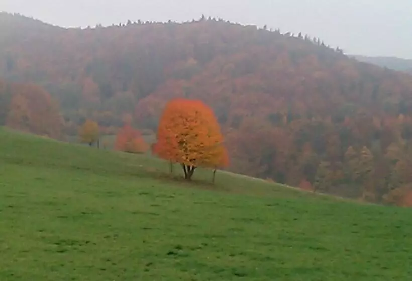 Hotelli Pension Zur Schönen Aussicht
