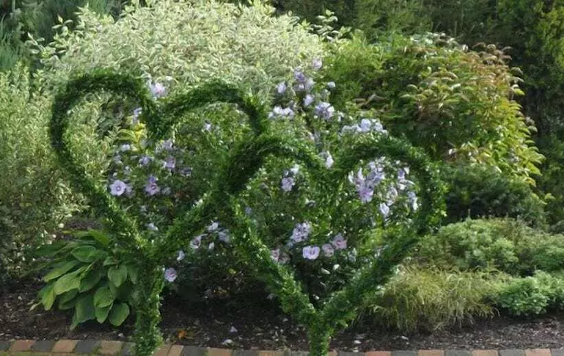 Hotelli Landgasthof Zum Wiesengrund