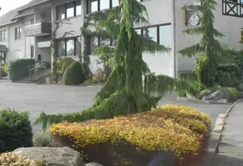 Hotelli Landgasthof Zum Wiesengrund