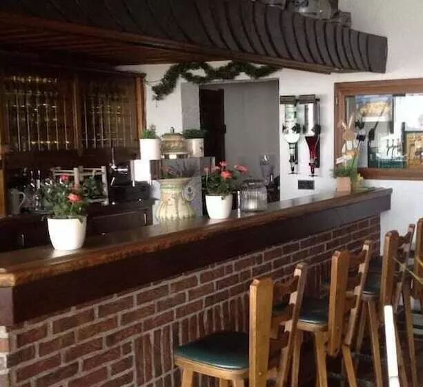 Hotelli Landgasthof Zum Wiesengrund