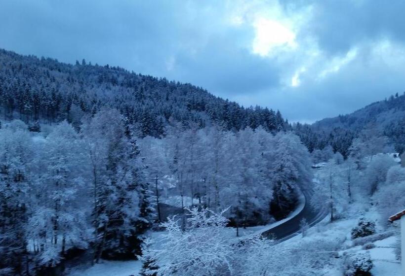 בית מלון כפרי Pension Dressel