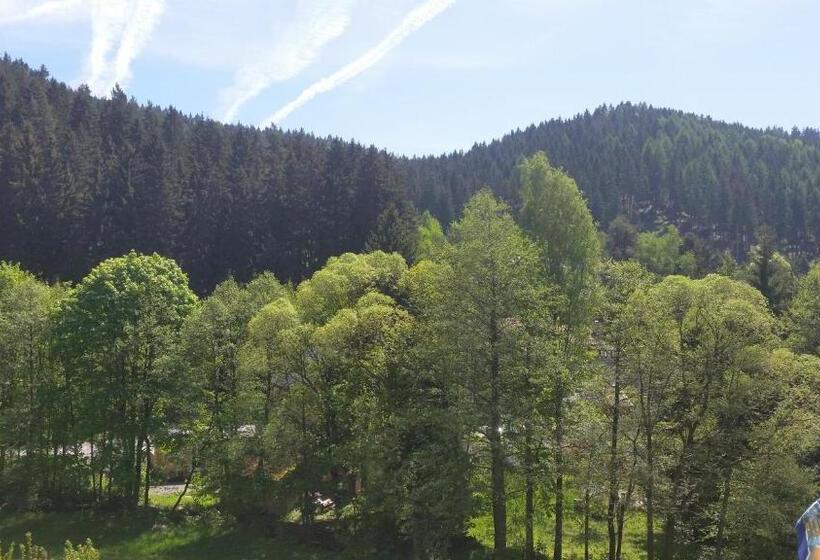 בית מלון כפרי Pension Dressel