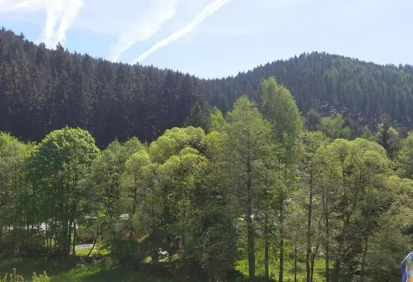 Hotelli Pension Dressel