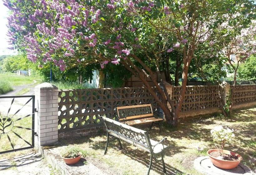 Отель Pension Zur Inselbrücke