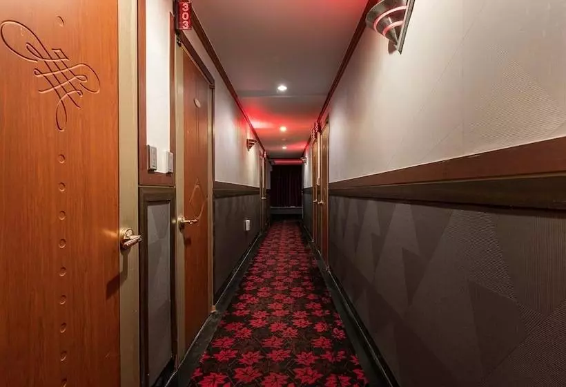 Dream Motel