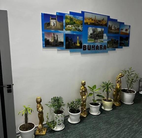 Pension (Hôtel basse catégorie) Zara Guest House