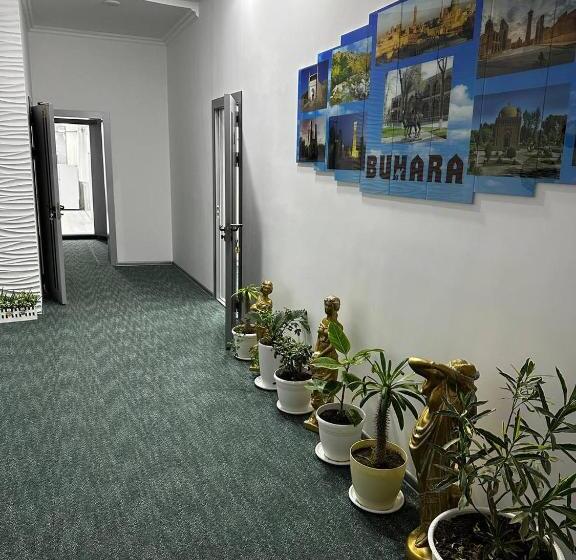 Pension (Hôtel basse catégorie) Zara Guest House