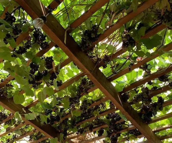 Te Bujtina Hotel&restaurant