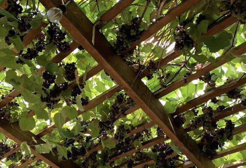 Te Bujtina Hotel&restaurant