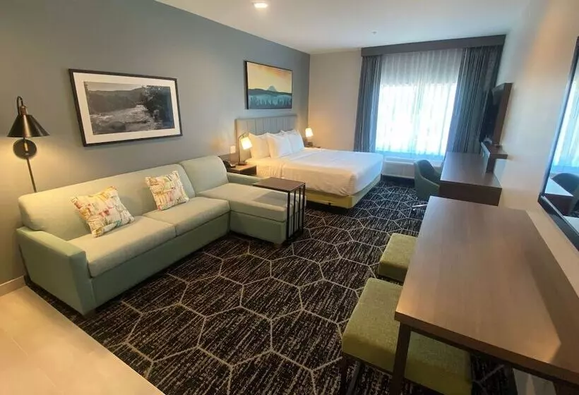 ホテル La Quinta Inn & Suites By Wyndham Centralia