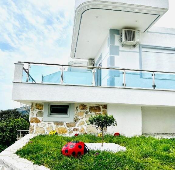 هاستل Mistral Inn