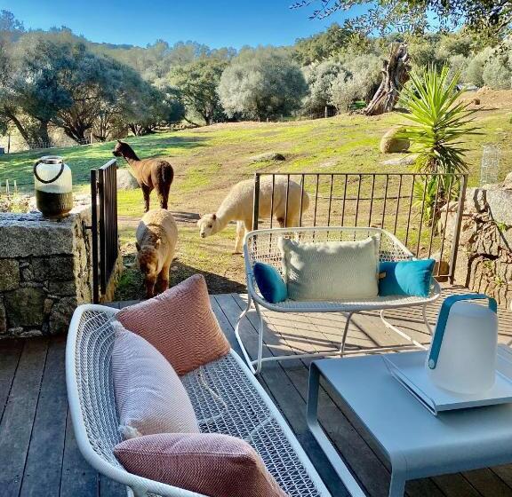 בית מלון כפרי Les Bergeries De Figari