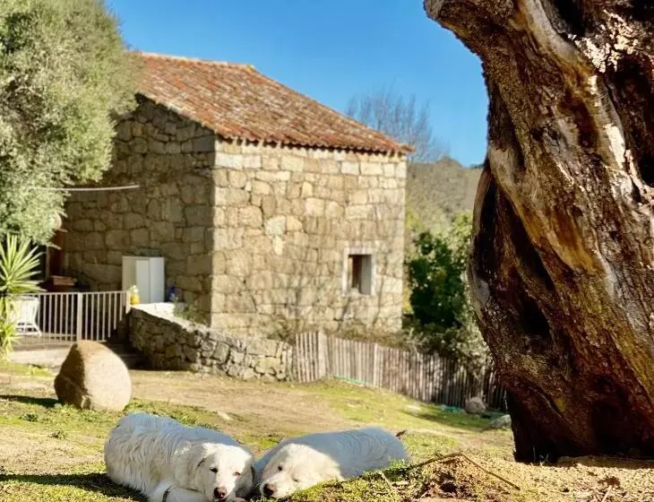 Hotelli Les Bergeries De Figari