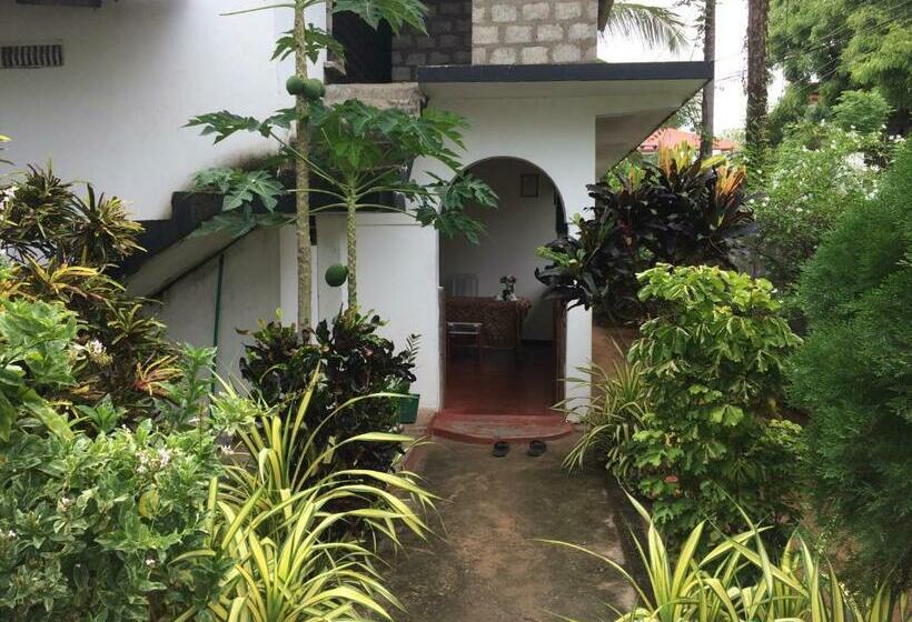 Pensjonat Ashok Guesthouse