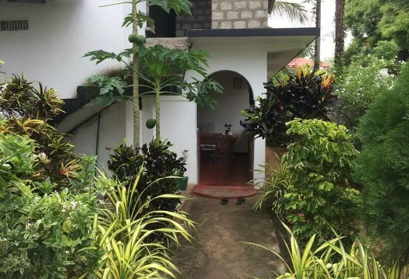 ペンション Ashok Guesthouse