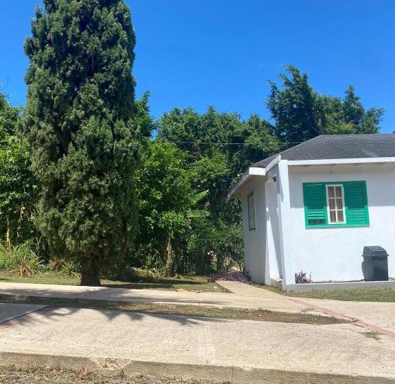 پانسیون Lachemar Guest House