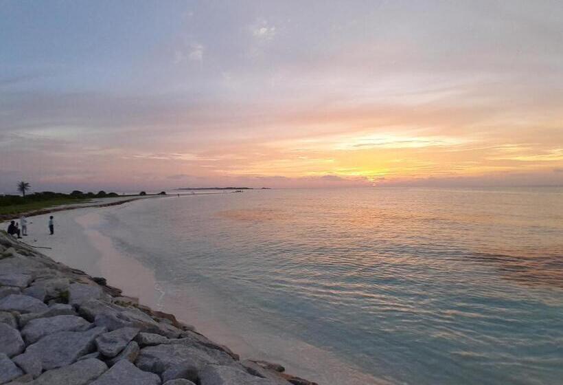 Pensão Tropical Stay Thulusdhoo