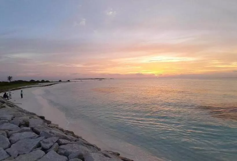 پانسیون Tropical Stay Thulusdhoo