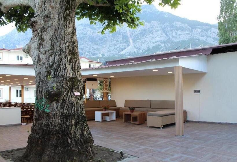 Отель Gold Stone