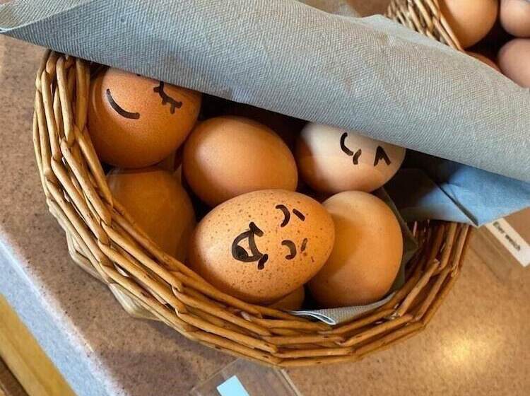 Отель Heiderose