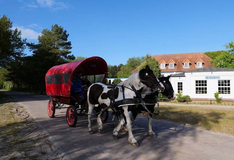 Отель Heiderose