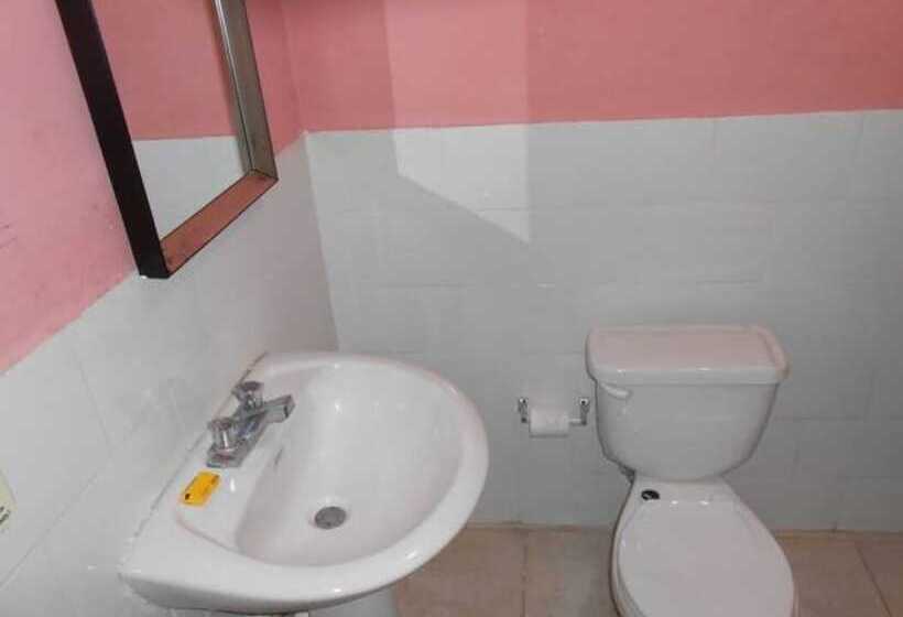 هتل Tropical Manor Inn