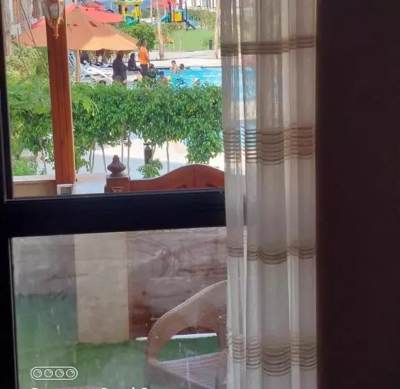 بورتو سعيد صف اول