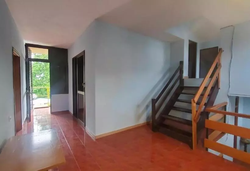 Traveler Hostel
