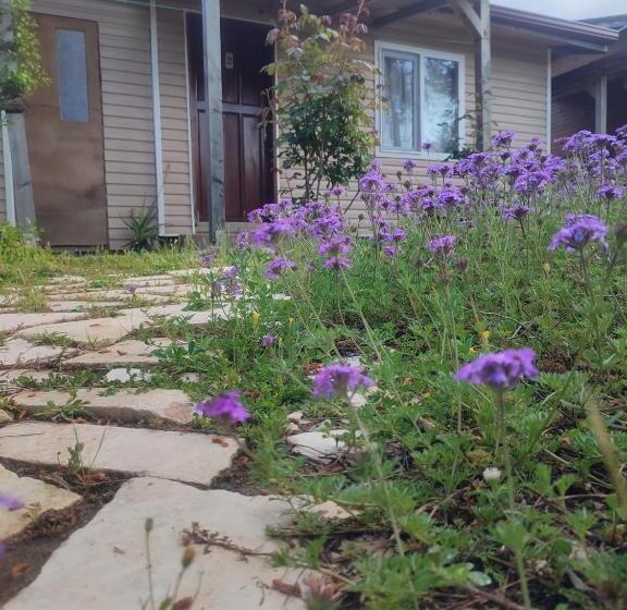 تختخواب و صبحانه Yolda Bungalow Cafe