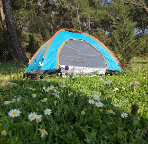 تختخواب و صبحانه Yolda Bungalow Cafe