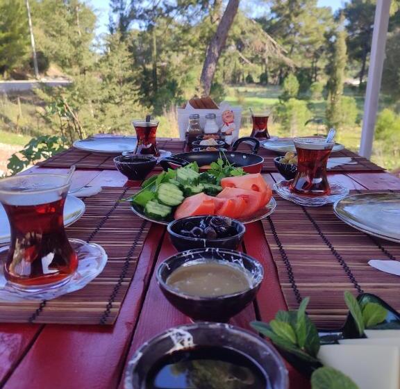 تختخواب و صبحانه Yolda Bungalow Cafe