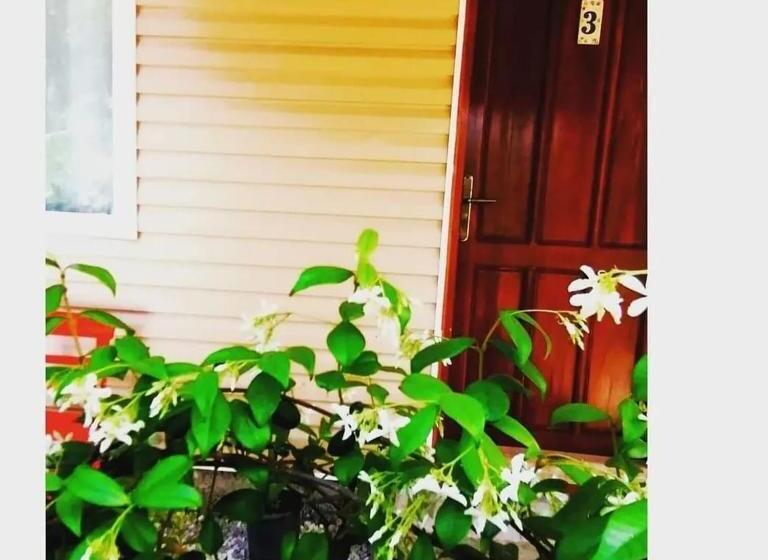 تختخواب و صبحانه Yolda Bungalow Cafe