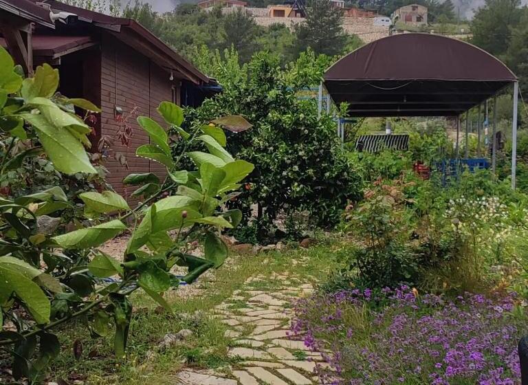 تختخواب و صبحانه Yolda Bungalow Cafe