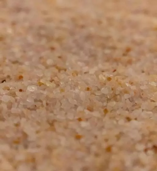 ホテル Transylvania House