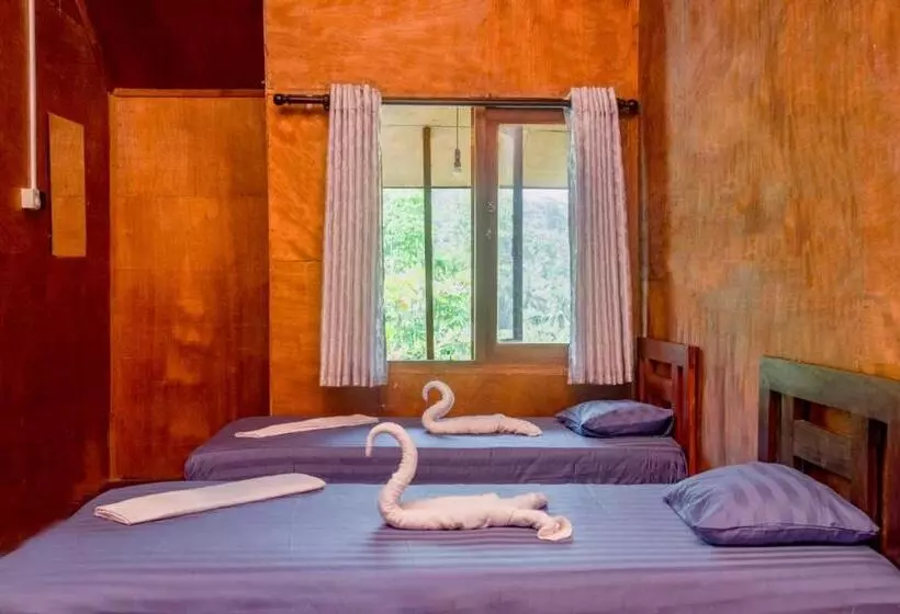 Retkeilymaja Rainforest View Hostal And Rainforest Tours
