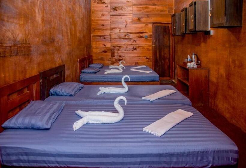 فندق صغير Rainforest View Hostal And Rainforest Tours