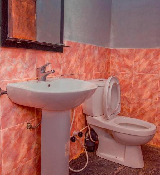 فندق صغير Rainforest View Hostal And Rainforest Tours