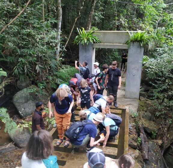 فندق صغير Rainforest View Hostal And Rainforest Tours