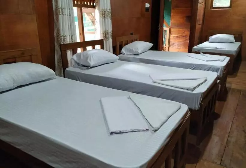 Retkeilymaja Rainforest View Hostal And Rainforest Tours