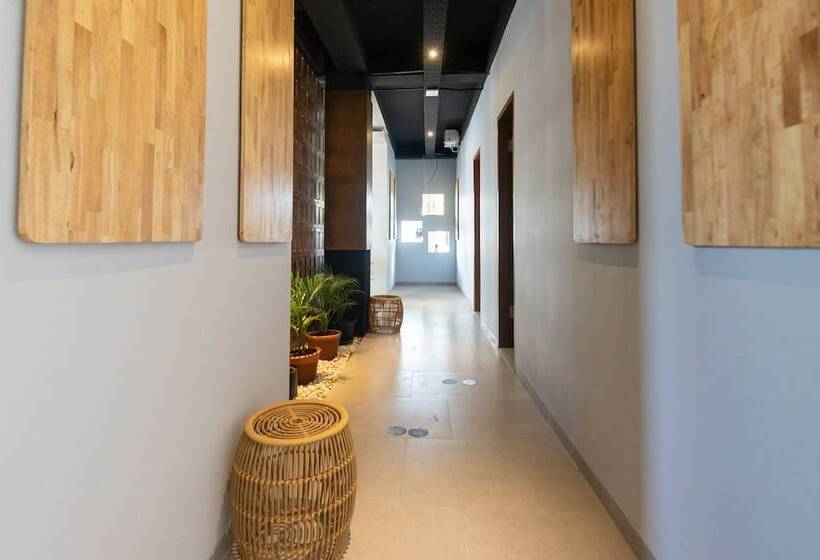 פנסיון Sarang Comfort