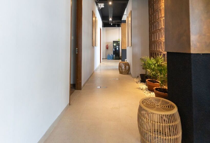 פנסיון Sarang Comfort