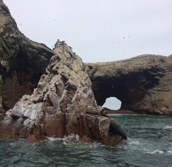 Hostel Posada Mis 3 Bendiciones