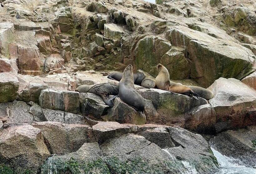 Hostel Posada Mis 3 Bendiciones